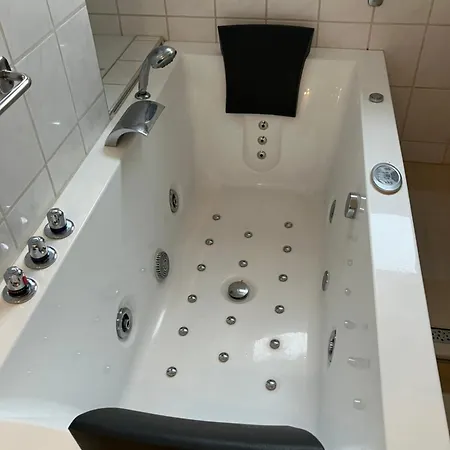 Am Biebricher Schlosspark Apartment *